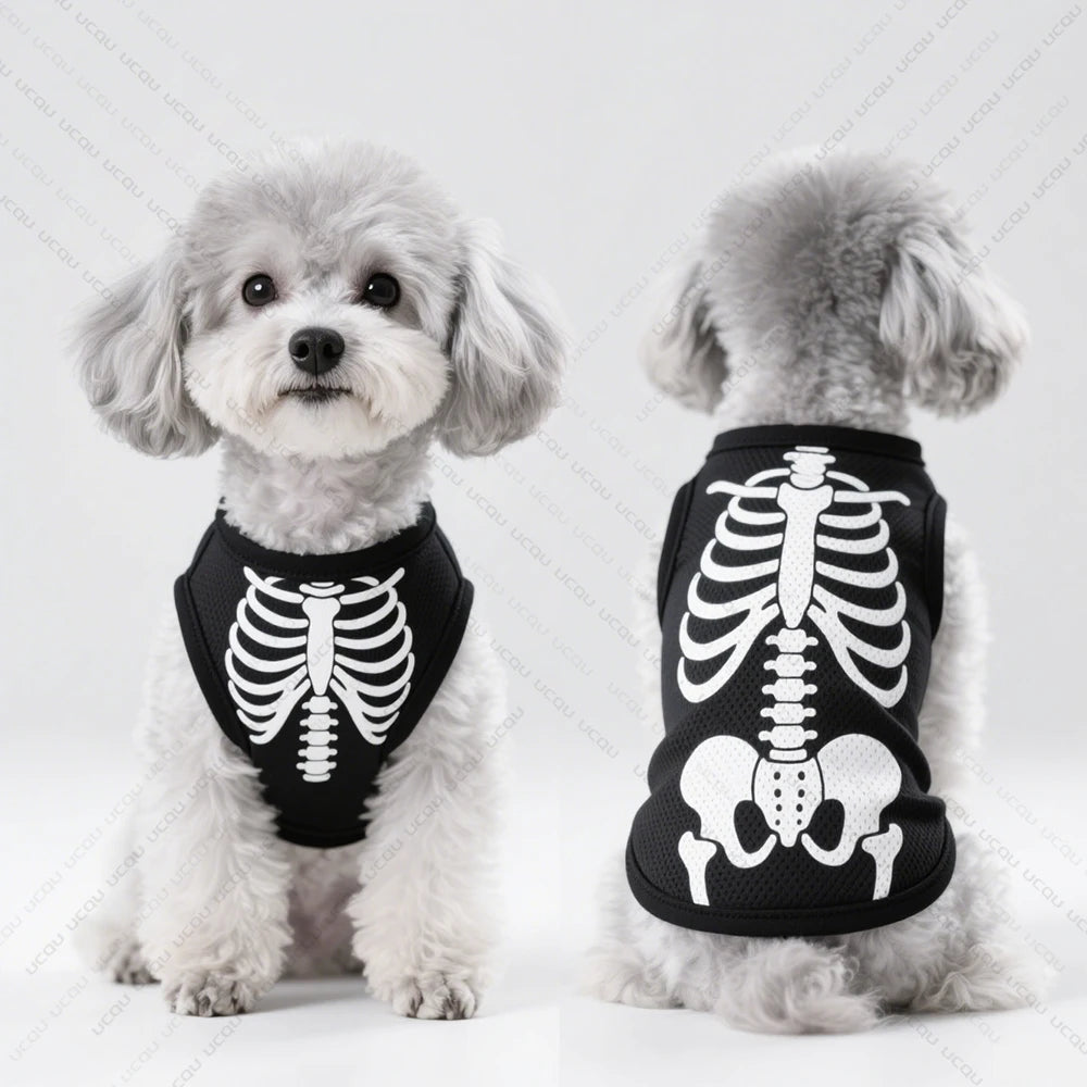 Skeleton Costume