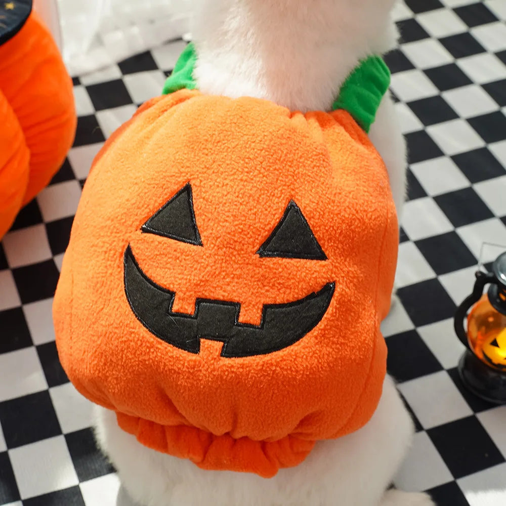 Big Pumpkin Costume