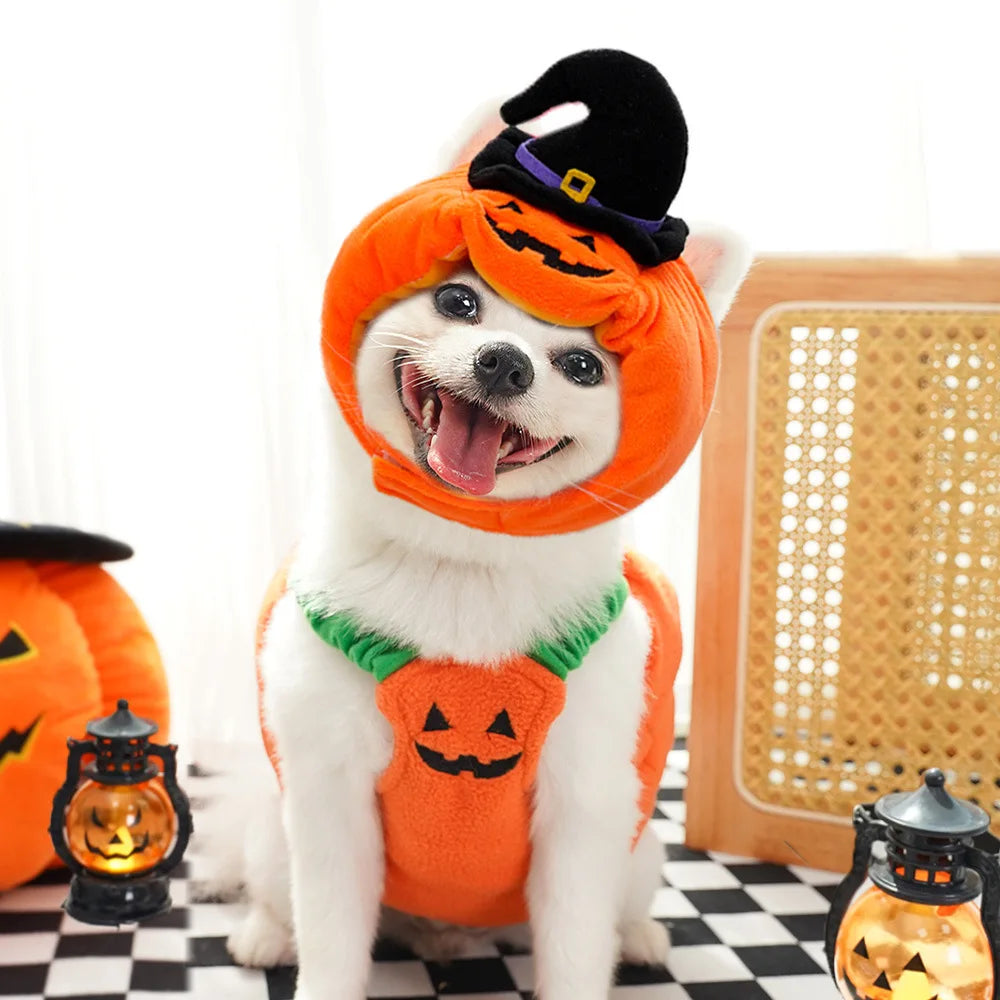 Big Pumpkin Costume