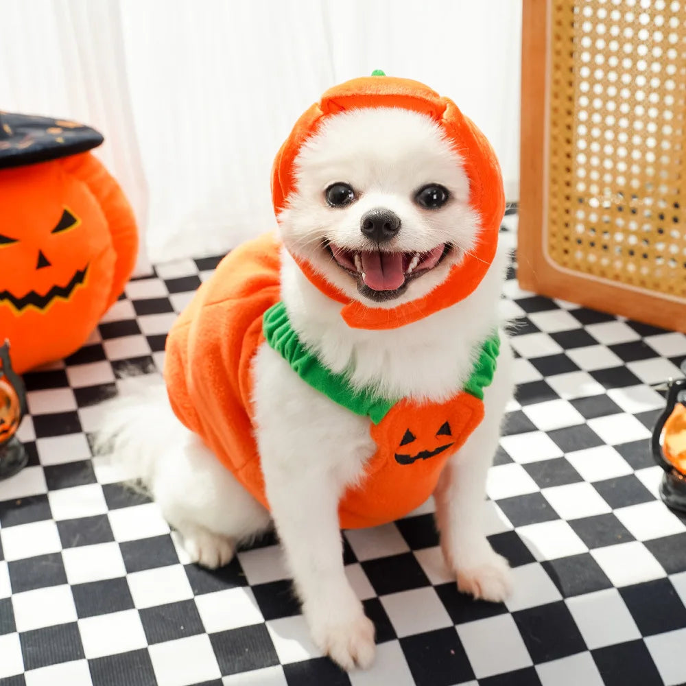 Big Pumpkin Costume