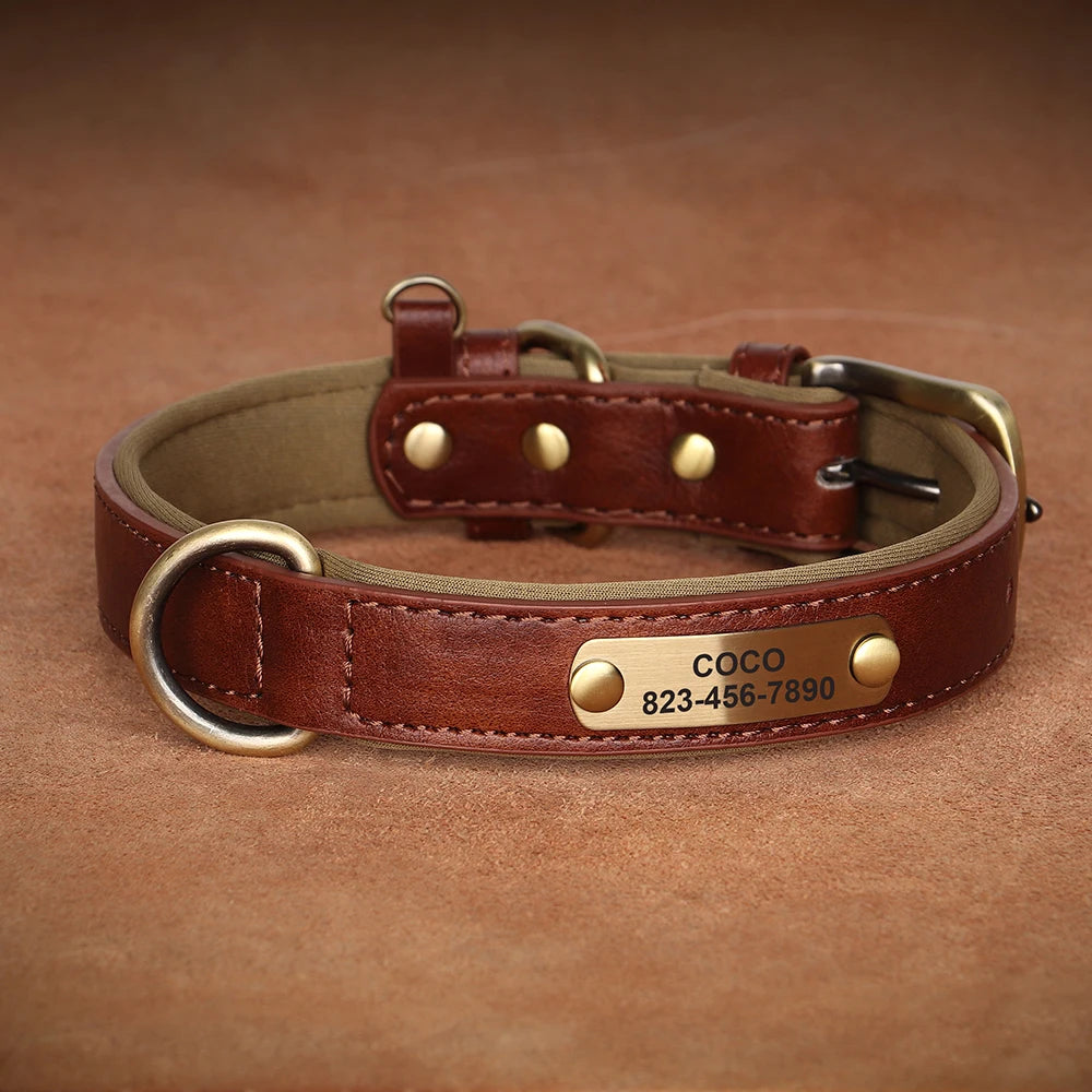 Personalized Dog Collar