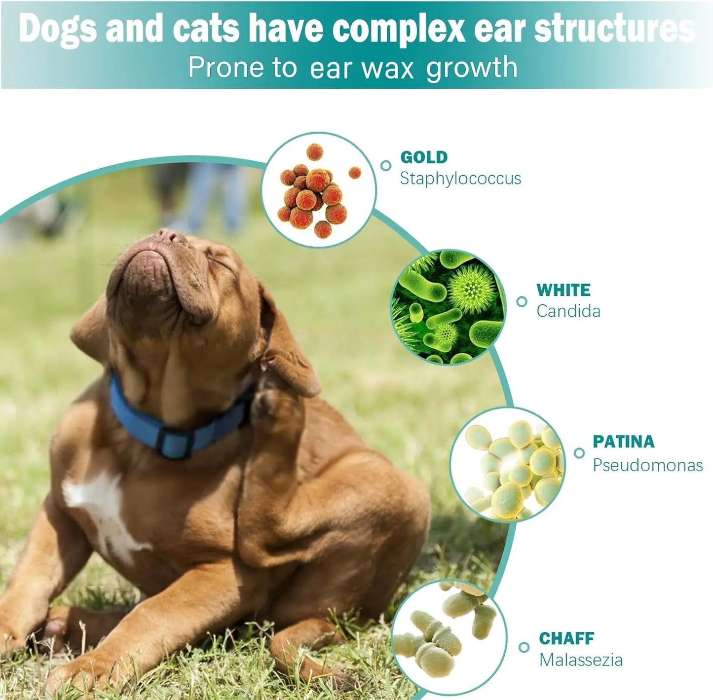 Pet Ear Wipes